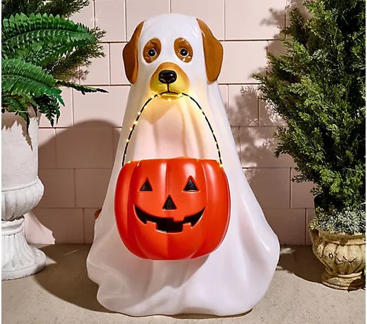 28" Illuminated Halloween Dog with Basket