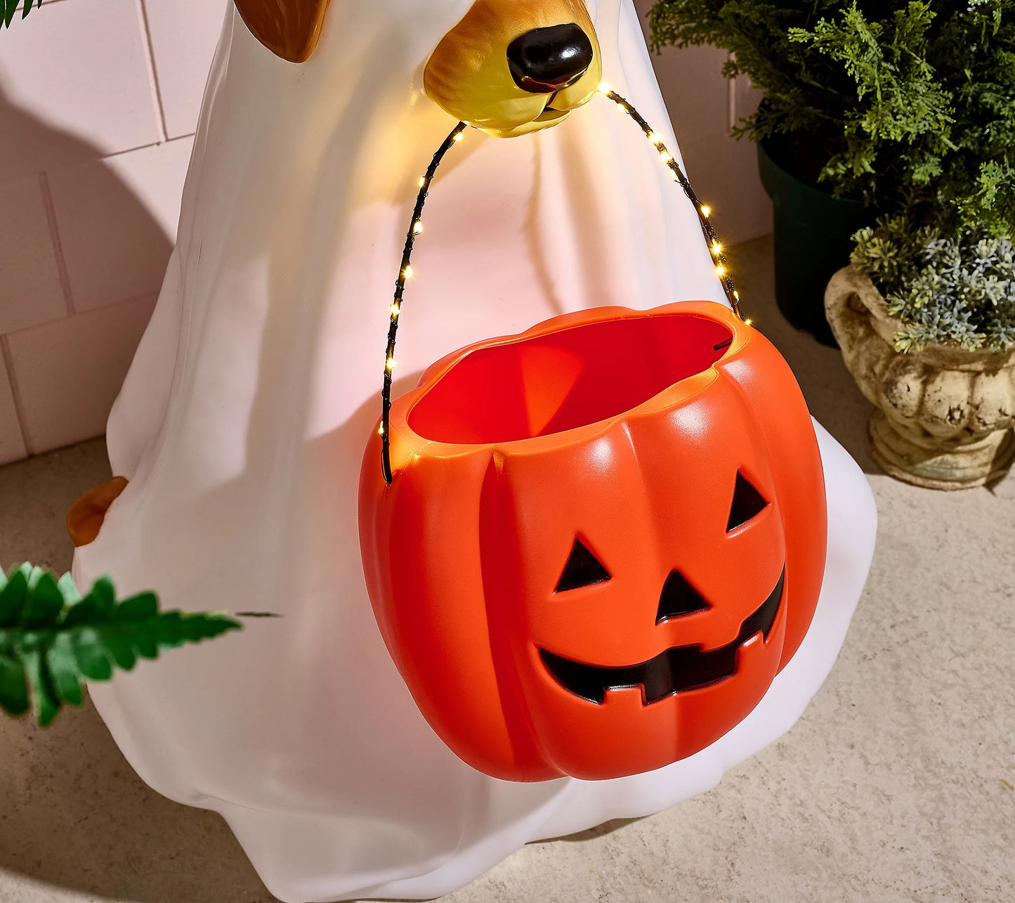 28" Illuminated Halloween Dog with Basket