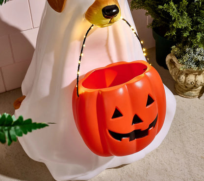 28" Illuminated Halloween Dog with Basket
