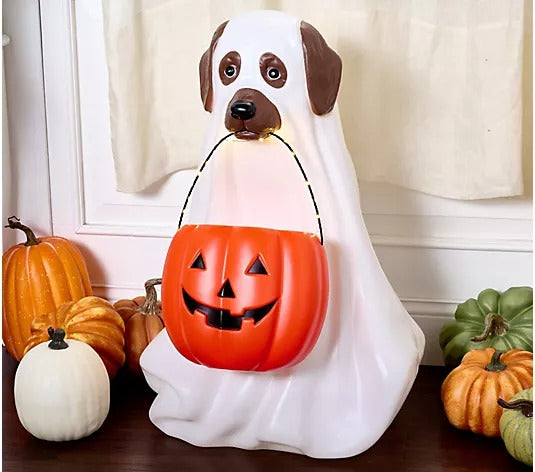 28" Illuminated Halloween Dog with Basket