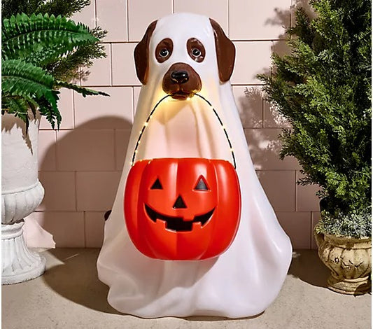 28" Illuminated Halloween Dog with Basket